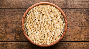 Barley